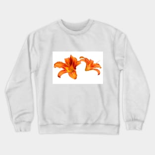 Orange Lilies Crewneck Sweatshirt